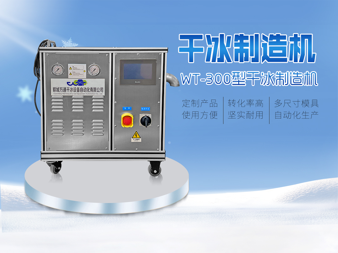 WT-300型干全自动冰颗粒机